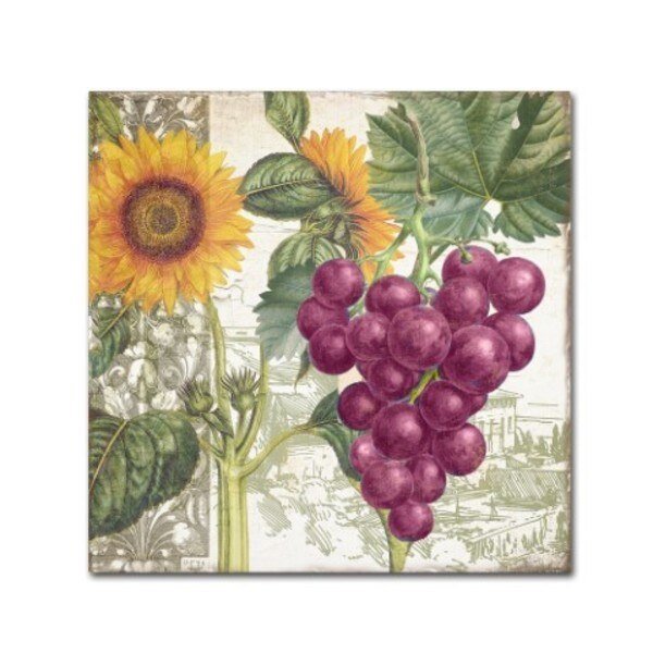 Color Bakery 'Dolcetto II' Canvas Art, 14x14, Trademark Fine Art, Mfr#: ALI4792-C1414GG